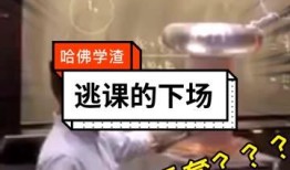 哈佛师傅爆料视频,视频爆料背后的真实故事